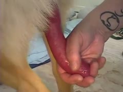 A guide on how to practice bestiality oral-sex sex